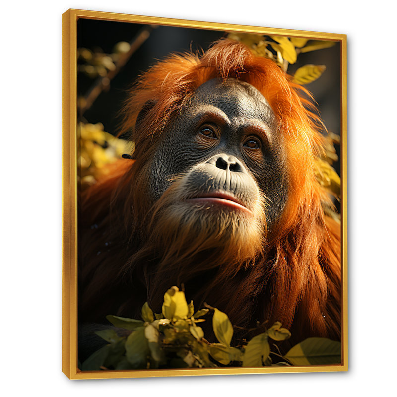 Orang-outan des singes dans la jungle ensoleillée, Cadre flottant doré, H 44 po x l 34 po x P 1,5 po