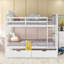 Lit superposé double au-dessus de double avec tiroirs et échelle pour chambre à coucher-489009835