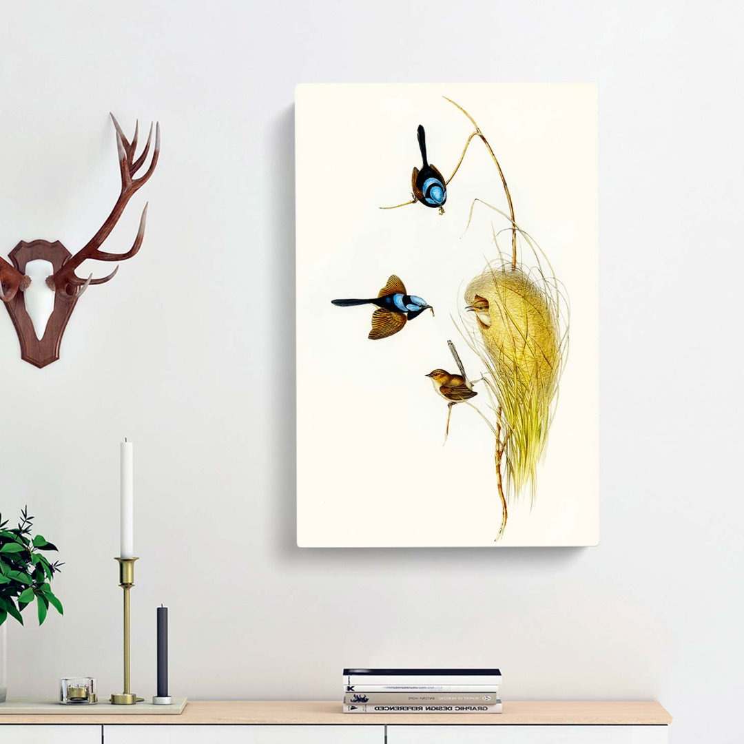 Blue Wrens by Elizabeth Gould - Wrapped Canvas