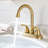 Centerset 2-handle Bathroom Faucet with Drain Assembly-55809706