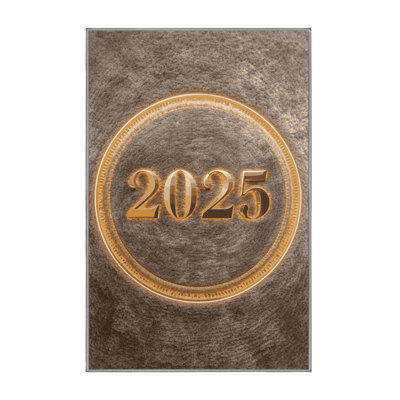 Soft Plush Etamin New Years Modern & Contemporary Abstract Area Rug in Gray – Gray Binding