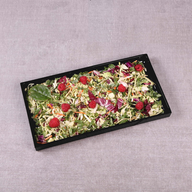 Plastic Pan Insert, Black