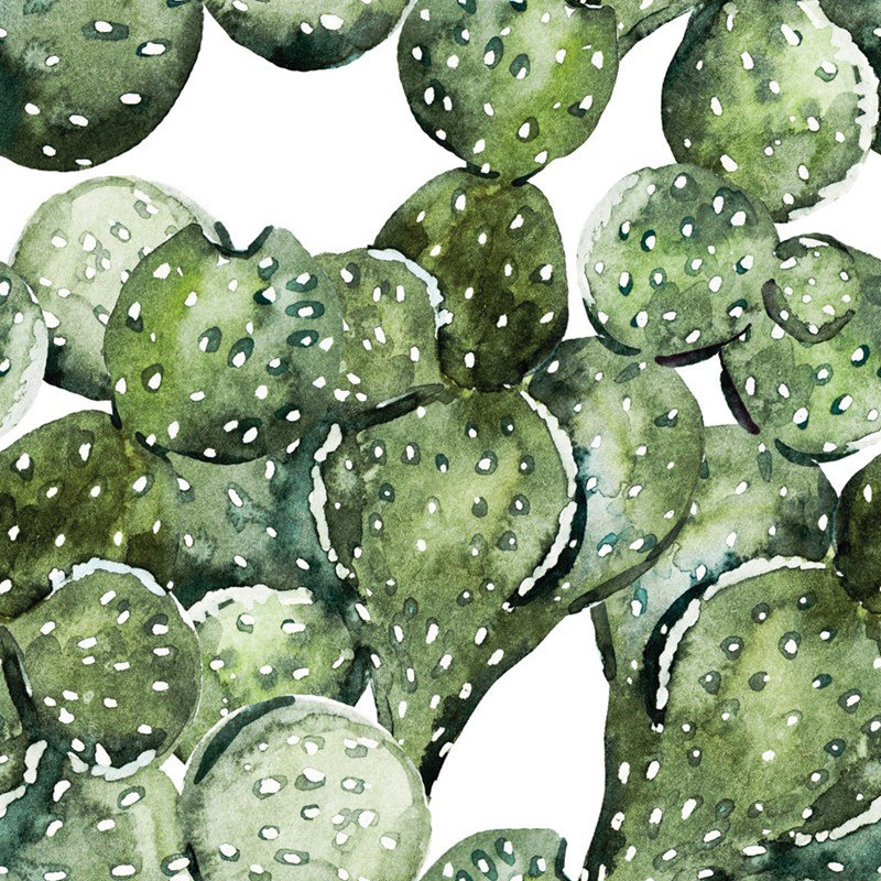 Tide Matte Roll, 250 x 104cm