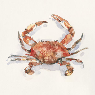 Crusty Crab I by Emma Caroline - Wrapped Canvas Painting