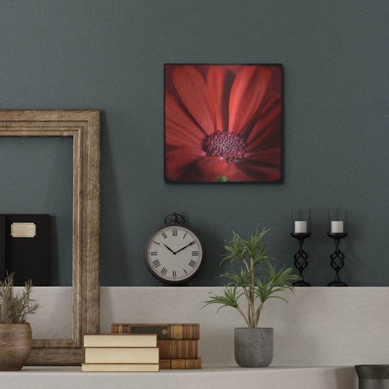 «Red Gerbera On Red 06» par Tom Quartermaine, H 12 po x l 12 po