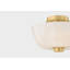 DOVE Flush Mount
