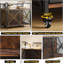 Dog House-1781099686