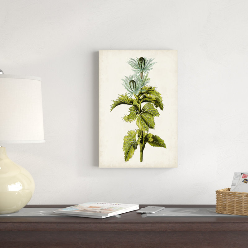 Étude botanique antique III, H 18 po x l 12 po x P 1,25 po
