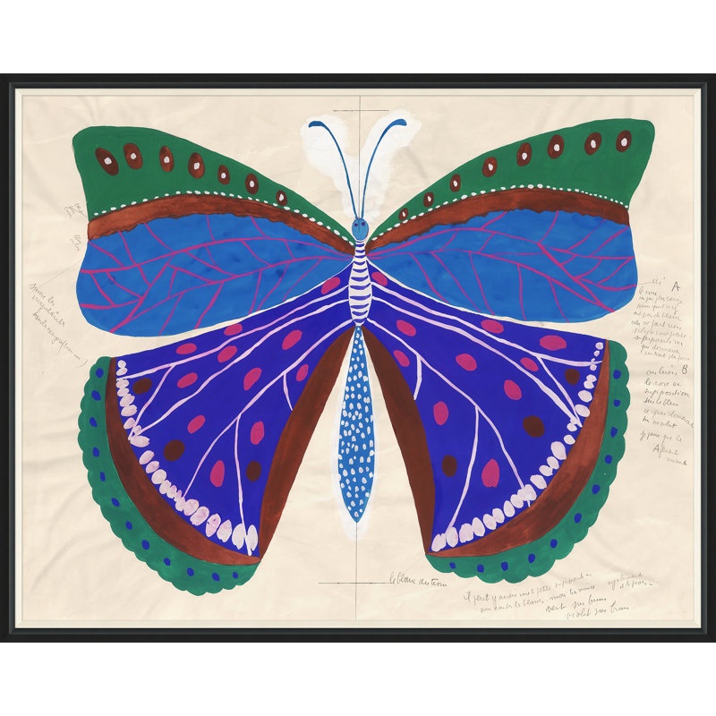 «Butterfly Blue» par Paule Marrot - reproduction imprimée, Cadre noir, H 43 po x l 54 po x P 1,25 po