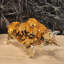 Figurine Oakledge-709874998