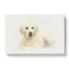 A Golden Retriever Puppy In Abstract - Wrapped Canvas Print-55300274