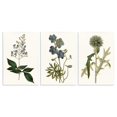 Vintage Botanical Flowers on Beige 3 Piece Wall Plaque Art Set by Curtis