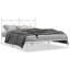 Corrstown Metal Bed-1569602321-1569602320