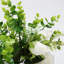 Cherry Rose Arrangement in Vase