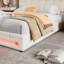 Cybill Upholstered Ottoman Storage Bed-1037148604