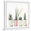 Reproduction encadrée «Pots Succulents»-1699479750