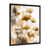 Black Picture Framed