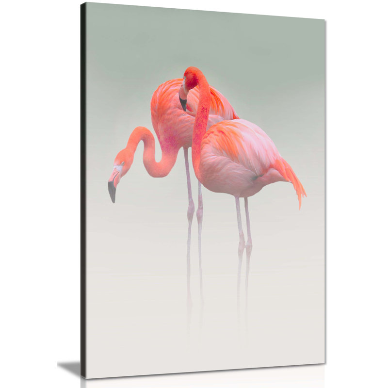 Flamingo Couples - Wrapped Canvas Print, 76cm H x 51cm W