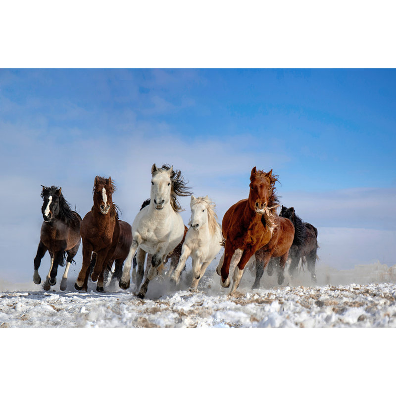 Wrapped Canvas Print, 50.8 cm H x 76.2 cm W