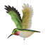 Mobile oiseau en vol - Colibri