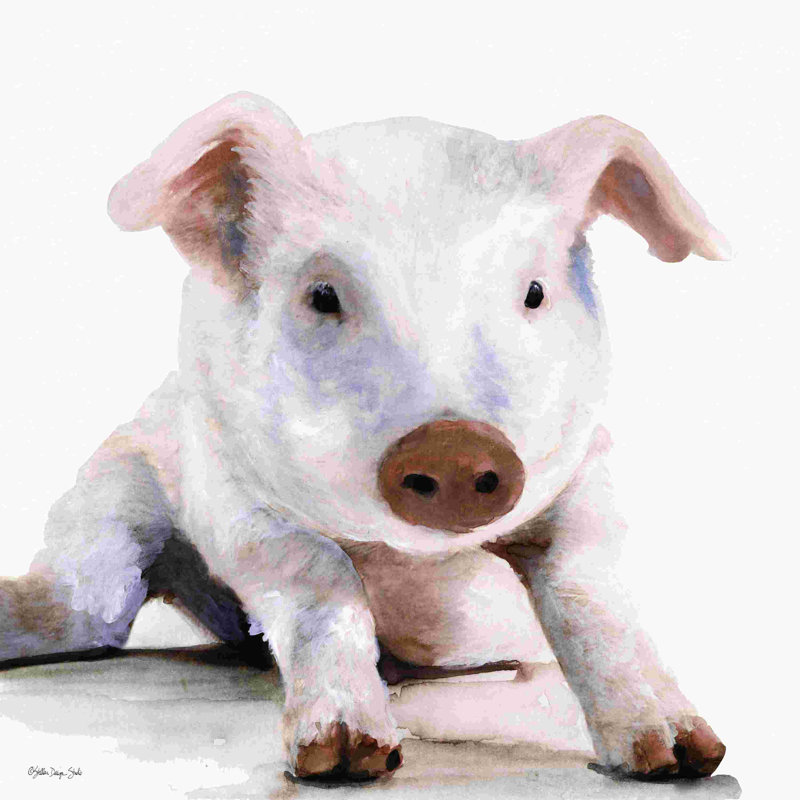 Biscuit par Stellar Design Studio - impression, H 30 po x l 30 po, No, Toile tendue