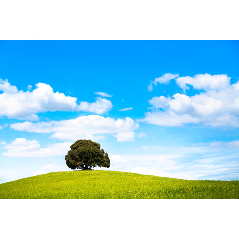 Lone Tree on Hill par Borchee, H 24 po x l 36 po