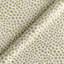Fibi Goldenrod Rr