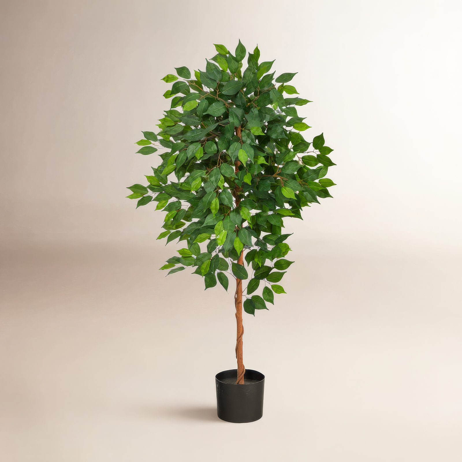 Faux Ficus Tree in Planter, 48" H x 25" W x 12" D