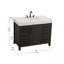 Meuble-lavabo simple 42 po_Traditional_VF60642-28198933