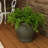 Berlina Round Imperial Ceramic Outdoor Planter-2034820463-2096375820