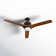 Vansickle 56'' Ceiling Fan with LED Lights