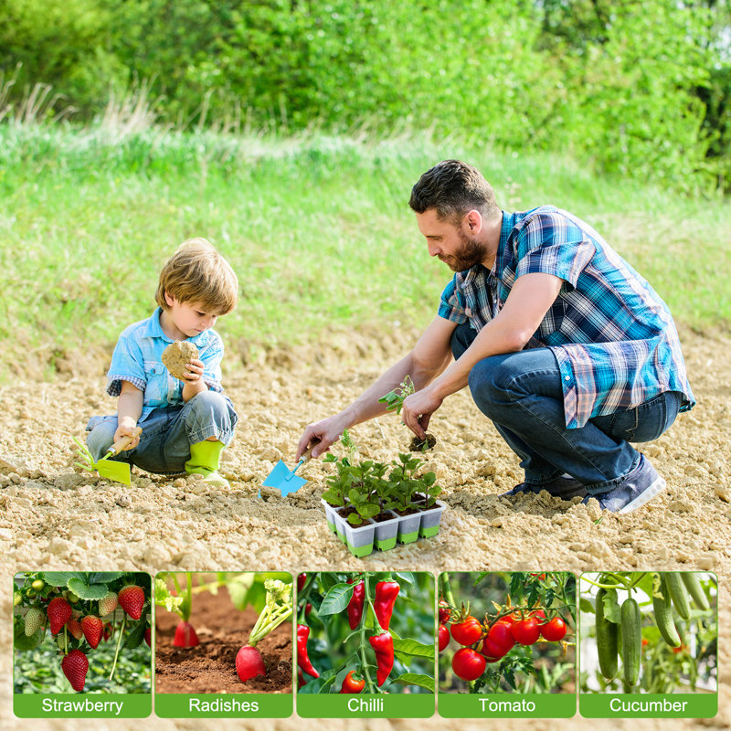 Ensemble de 5 ensembles de démarrage de semis - plateaux de plantation réutilisables de 60 cellules avec une conception facile à pousser pour les semis de jardin d'intérieur