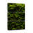 " Thick Moss " 3 - Pieces-117433961