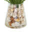Allium Floral Arrangement in Decorative Vase-2003656207