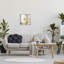 Abstrait plante pittoresque en pot feuilles vertes mur gris-66841827-66841828
