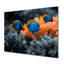 Blue Aquariums Oceanic Oasis Fish II - Aquariums, art mural-603696540-603696541