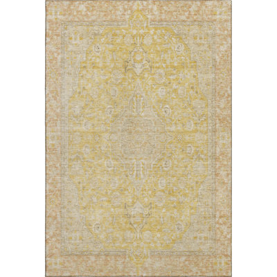 Washable Oriental Indoor/Outdoor Rug