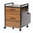 Ziolkowski 2-Drawer Mobile Vertical Filing Cabinet-80797287
