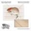 Kono Bairei Tai Fish Wood Slat Art-487533711