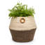 Cache-pot Shanell