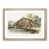 Oak Framed selected