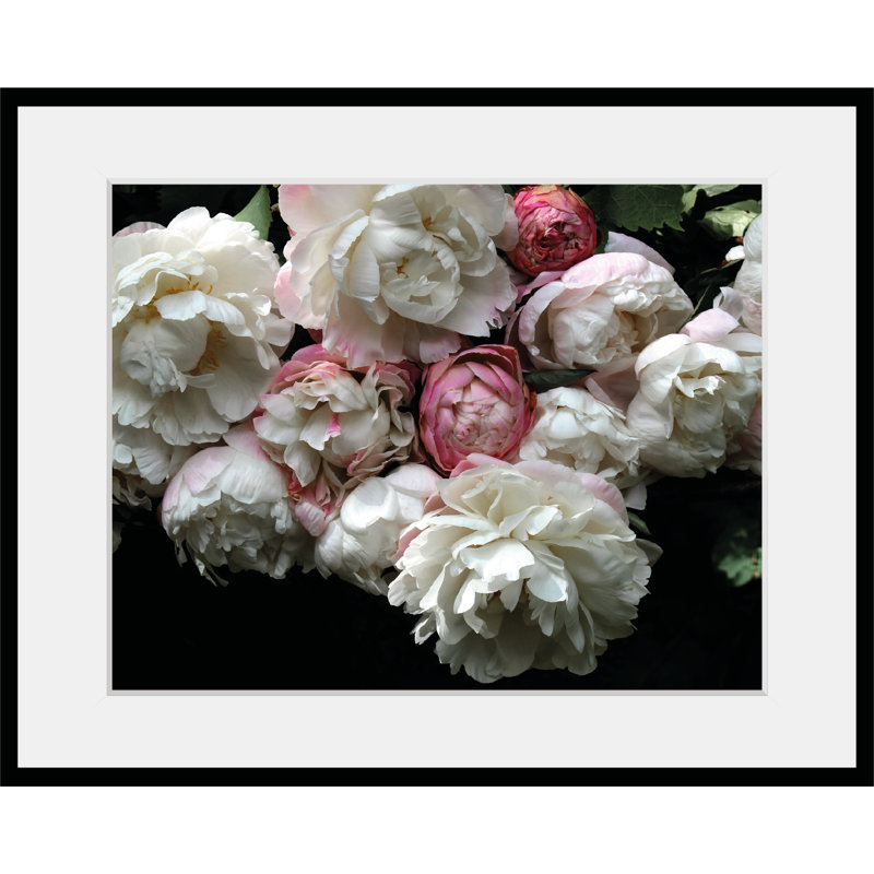 Rose - Single Picture Frame Print