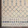 Moritz Ikat Indoor Rug