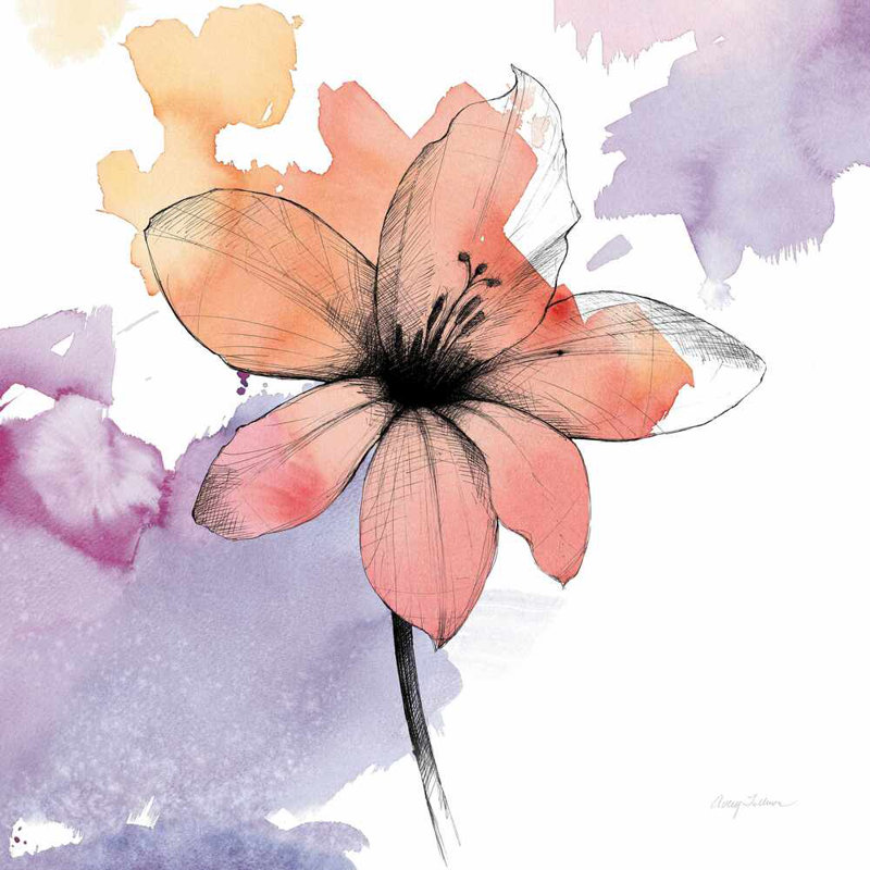 Aquarelle fleur graphite II, H 36 po x l 36 po