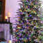 Sapin de Noël Leilonie-113059157