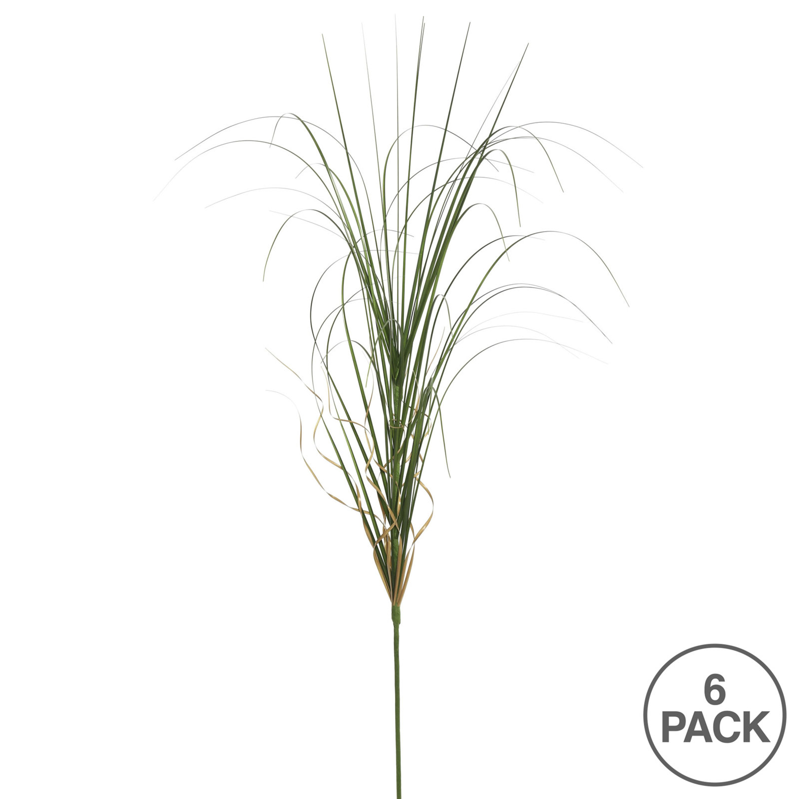 Wegman 6 Piece Curled Agave Grass