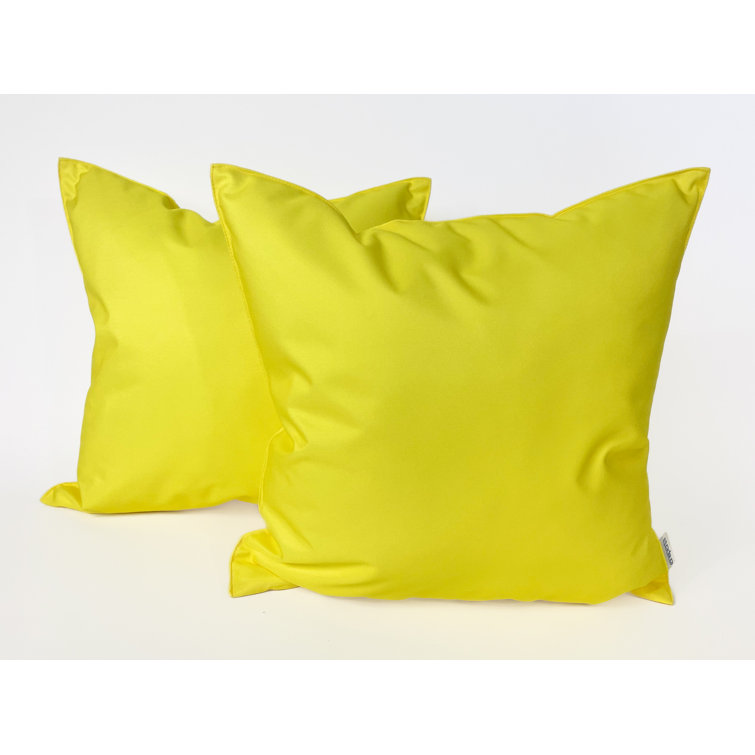 Indoor/Outdoor Throw Pillow (Set of 2) Ensperta Color: Orange Tiger