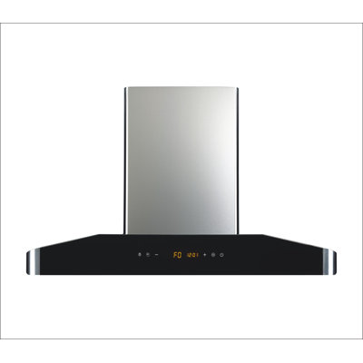 Hotte murale convertible 30 pouces en acier inoxydable 439 CFM Elite