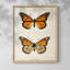 «Vintage Animal Print XXII», reproduction encadrée sur papier-796735717-796735714