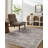Oriental Indoor Rug-1845358920